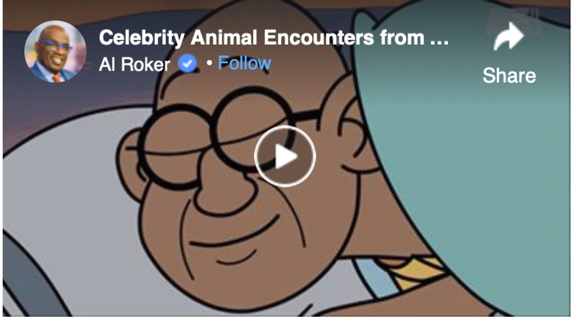 Celebrity Animal Encounters from Animal Planet